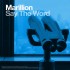 Say the Word 320 kbps Single Download